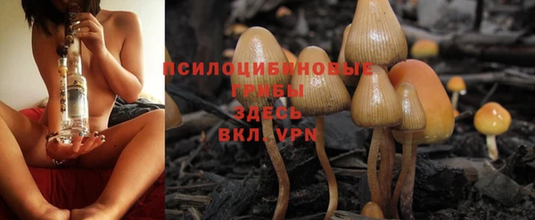 apvp Краснослободск