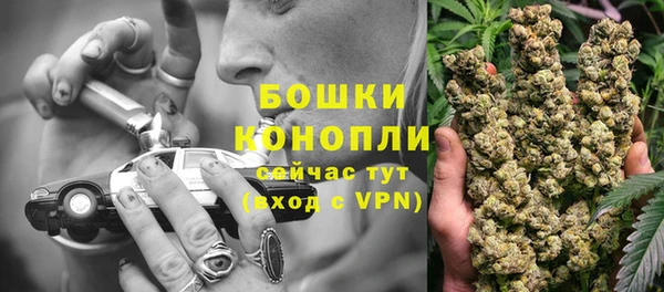 apvp Краснослободск
