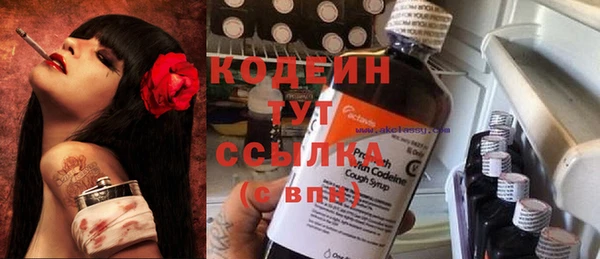 apvp Краснослободск