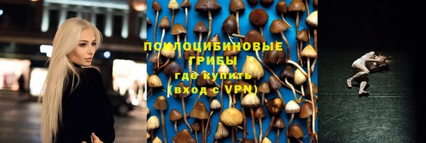 гидра Краснотурьинск